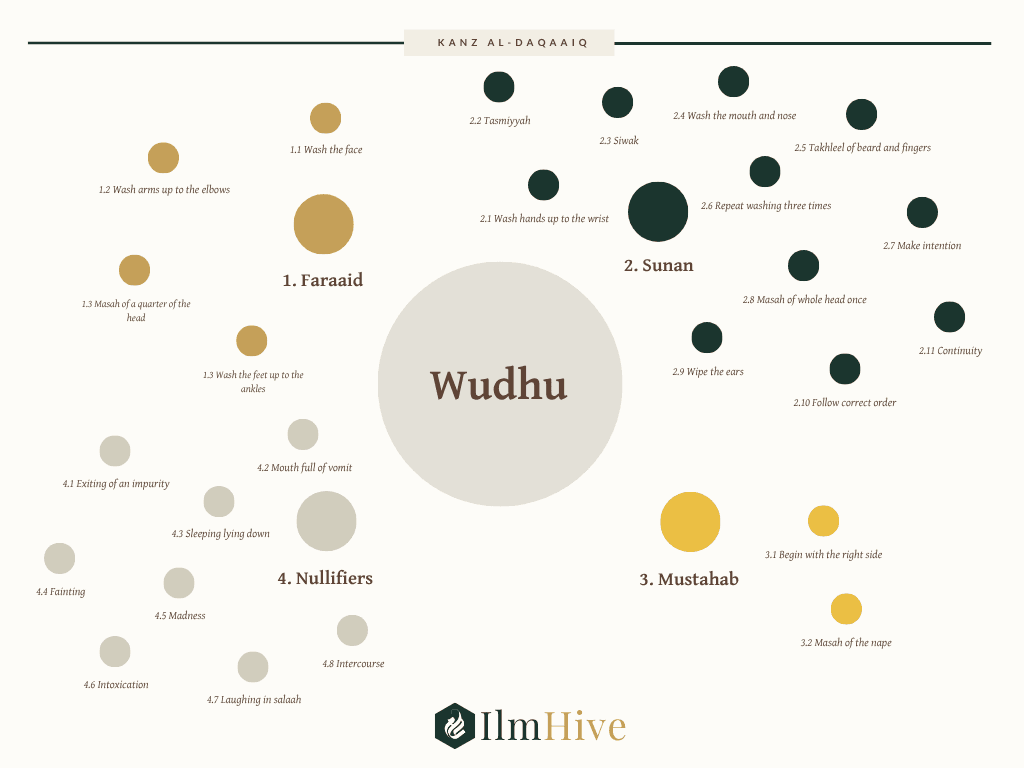 Overview diagram of the four obligations of wuḍūʾ: washing the face, washing the arms to the elbows, masḥ of the head, and washing the feet to the ankles